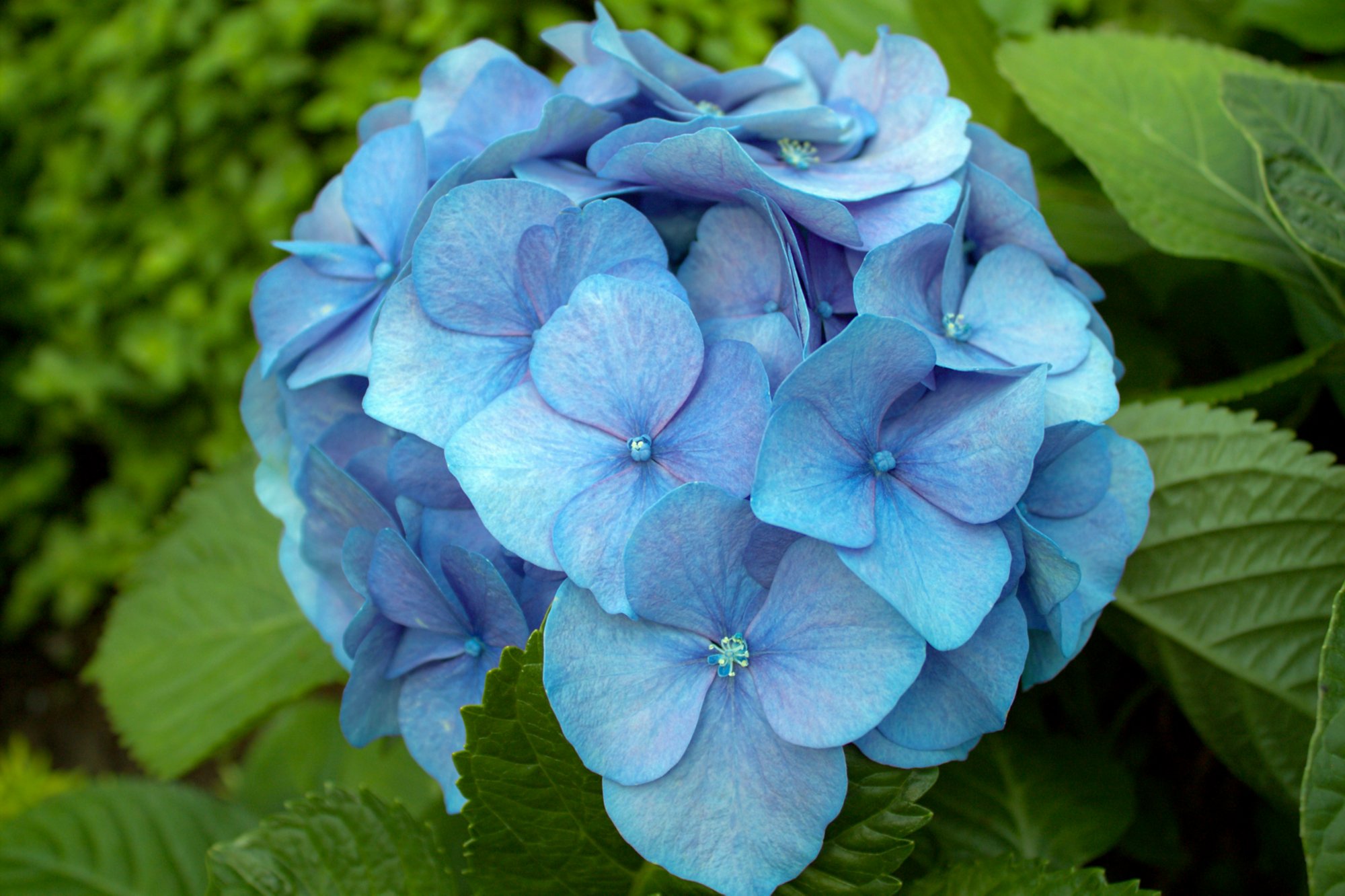 Ausflüge in die Umgebung