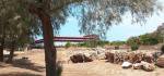 Paphos und Felsen der Aphrodite
