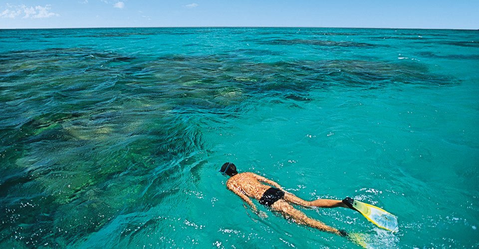 Tourist snorkeling in a transparent water with caribbean colors