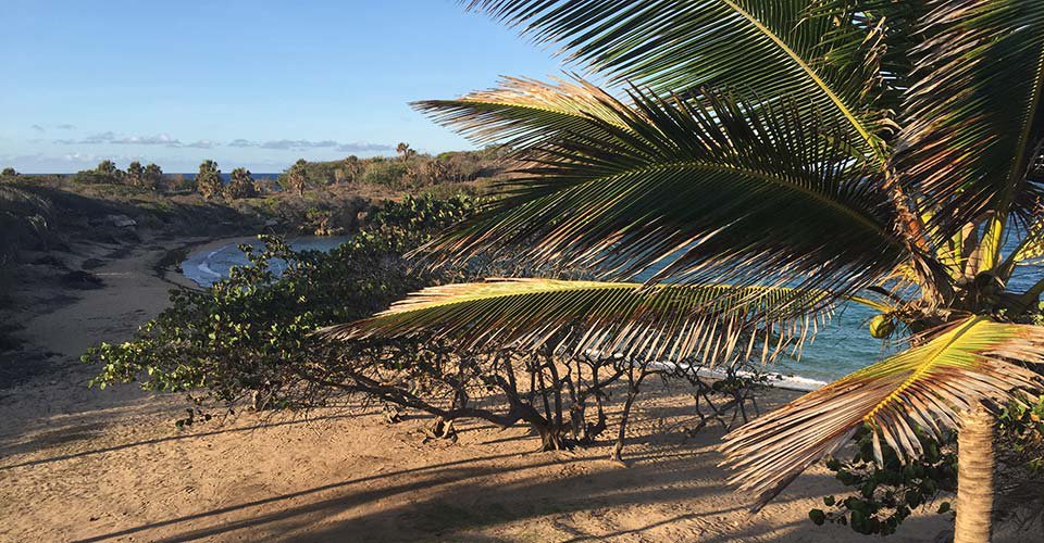 Strandaufenthalt an der Coconut Cove (ohne Mittagessen)