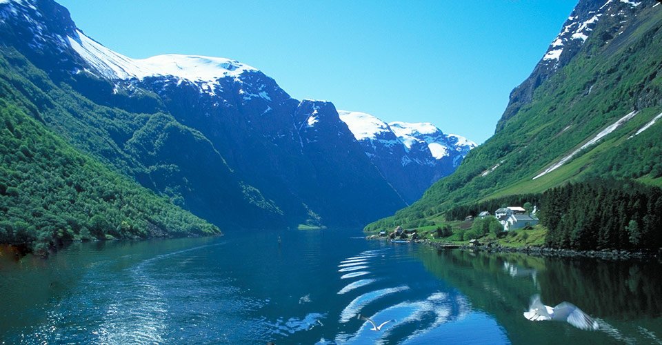 Bootsfahrt durch den UNESCO Nærøyfjord und Stegastein Aussichtspunkt