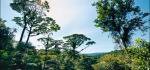 Den Cahuita-Nationalpark zu Fuß entdecken