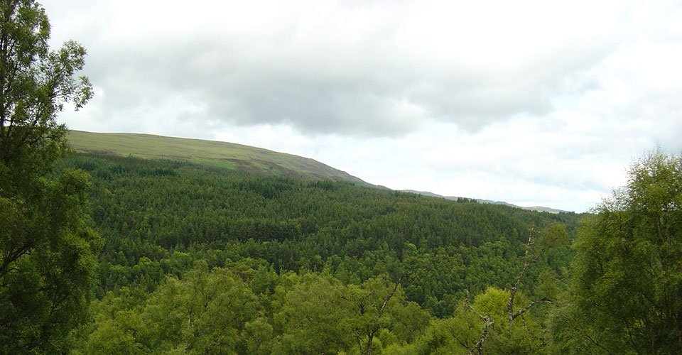 Bezauberndes Glen Affric und beeindruckende Highlands