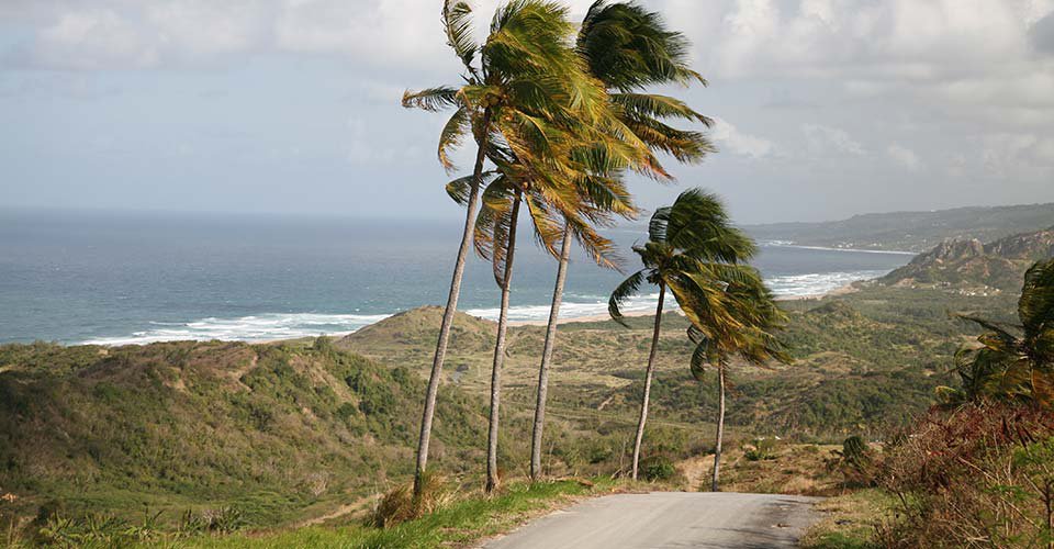 Von der Westküste zur Ostküste Barbados