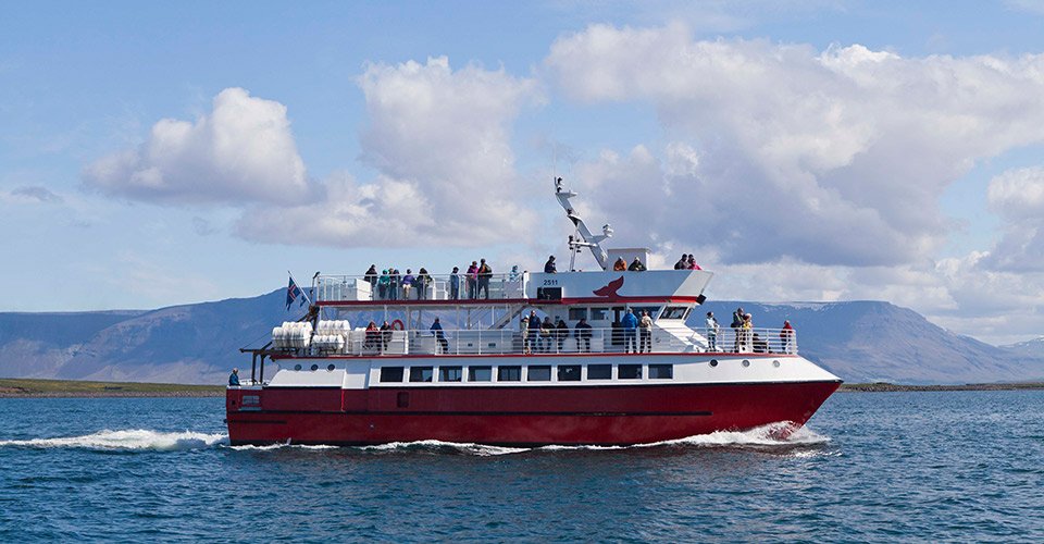 Whale Watching Iceland Hafsulan