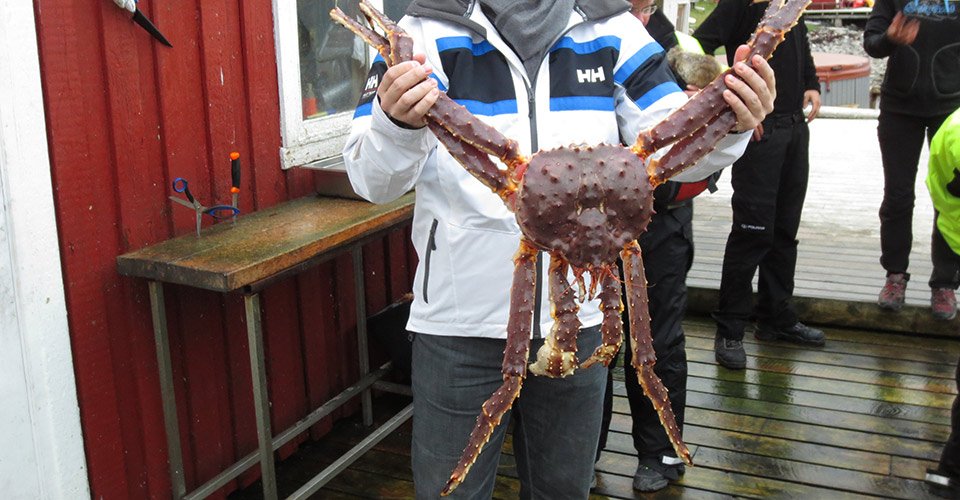 Winterliche Bootstour zu den Königskrabben