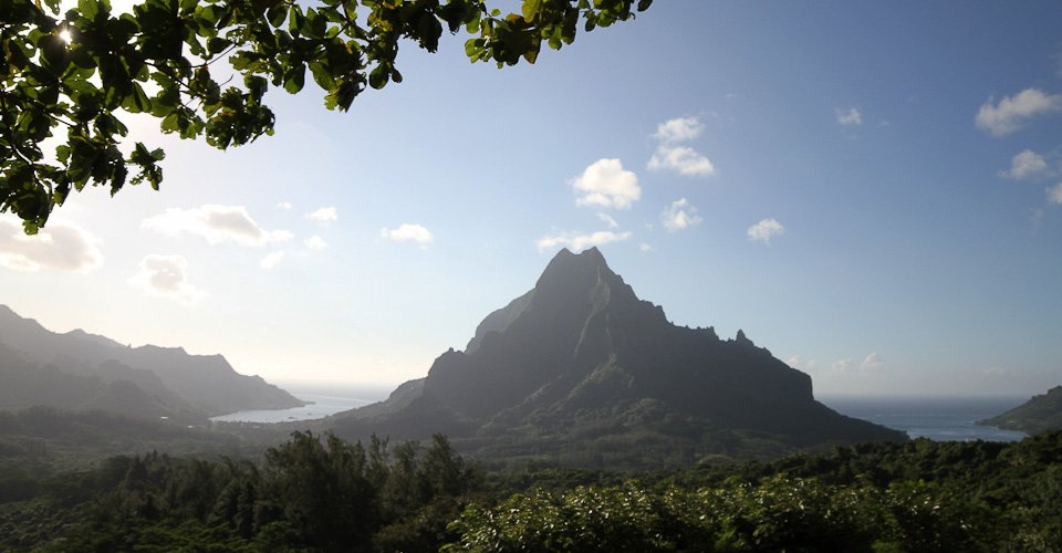 Einblick in die Natur von Moorea