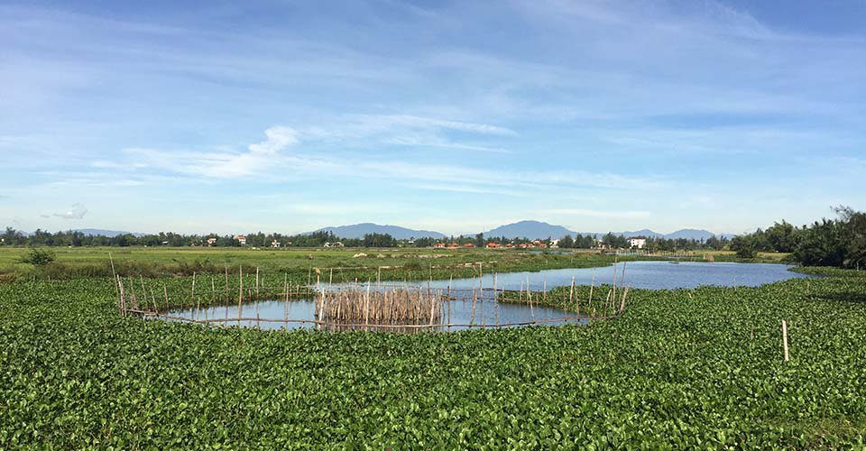 Ländliches Vietnam und Cai-Dam-Markt