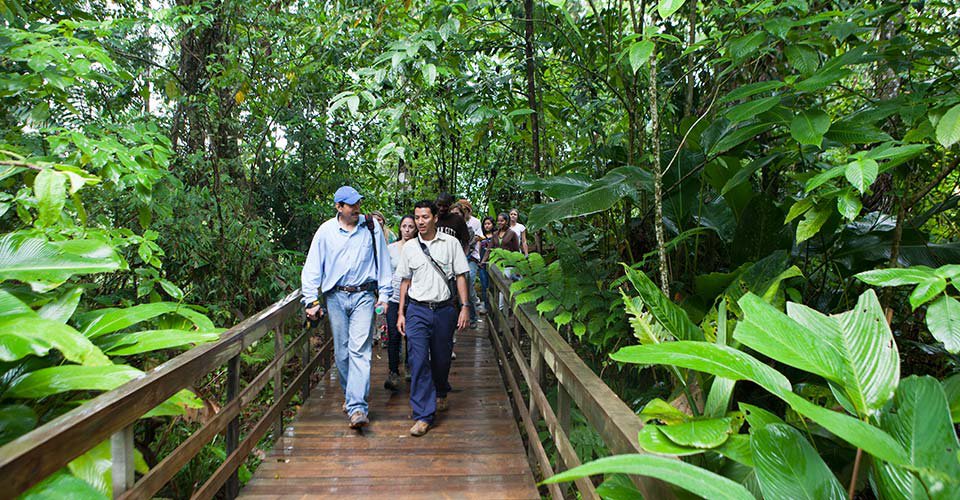 Wanderung im Regenwald