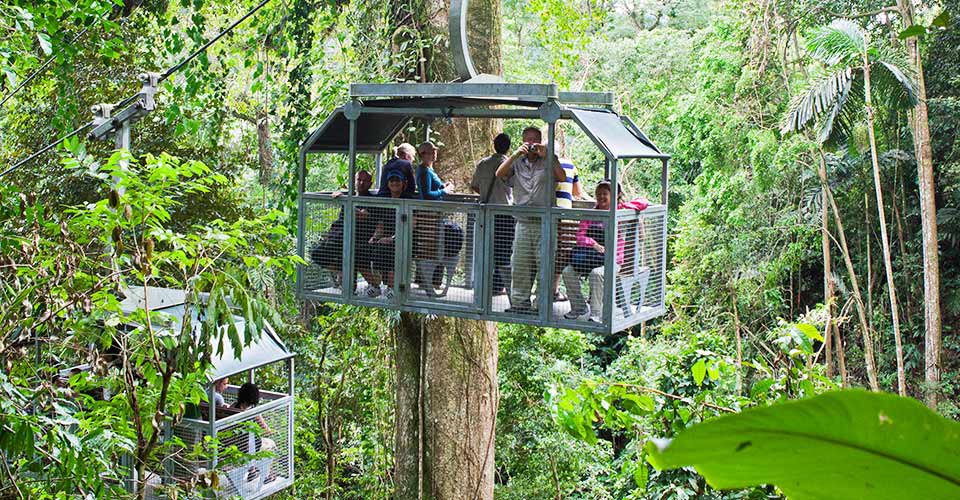 Costa Ricas Regenwald an Land und aus der Luft erleben