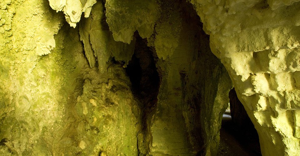 Waitomo Glühwürmchengrotte und Panoramafahrt
