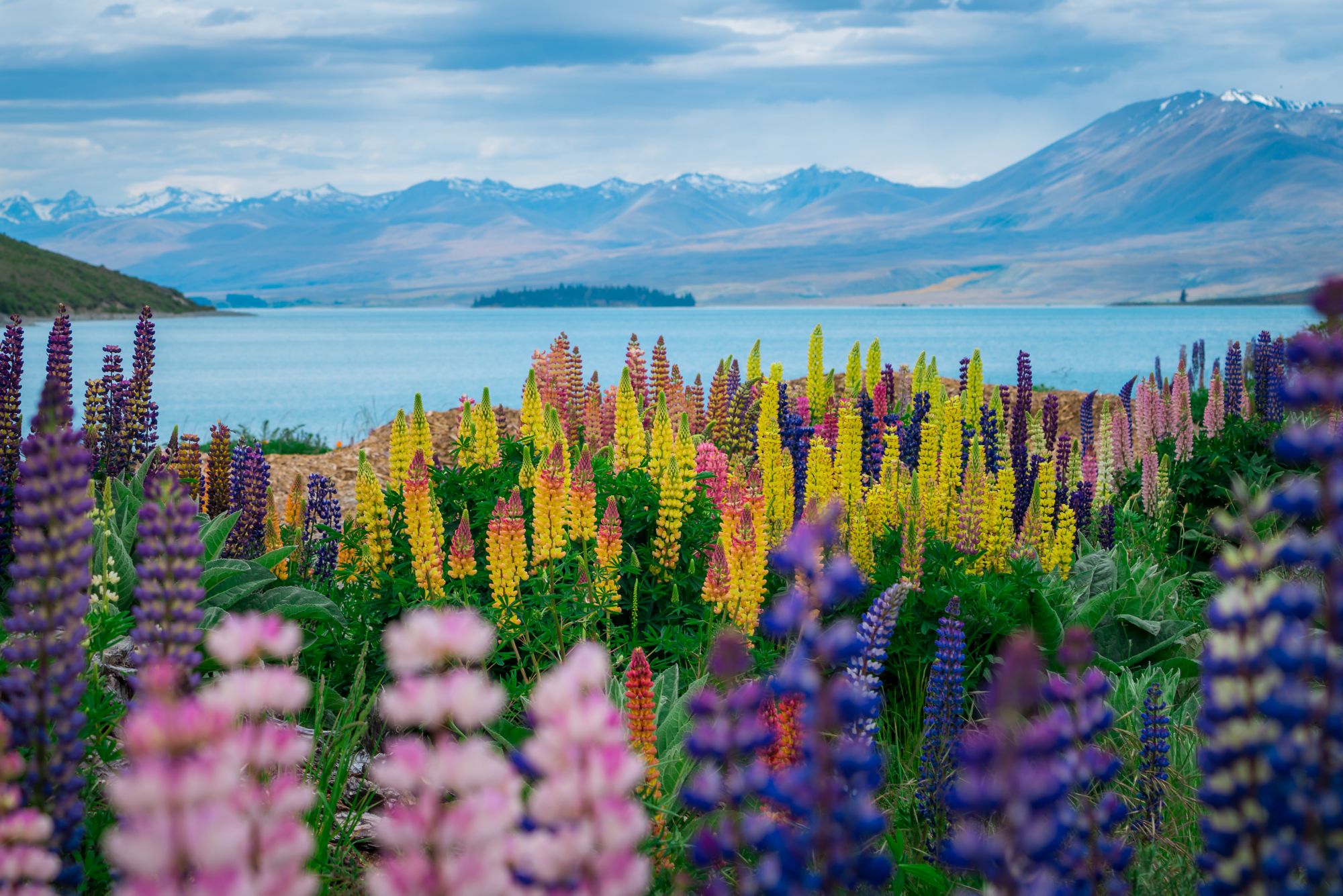Neuseeland