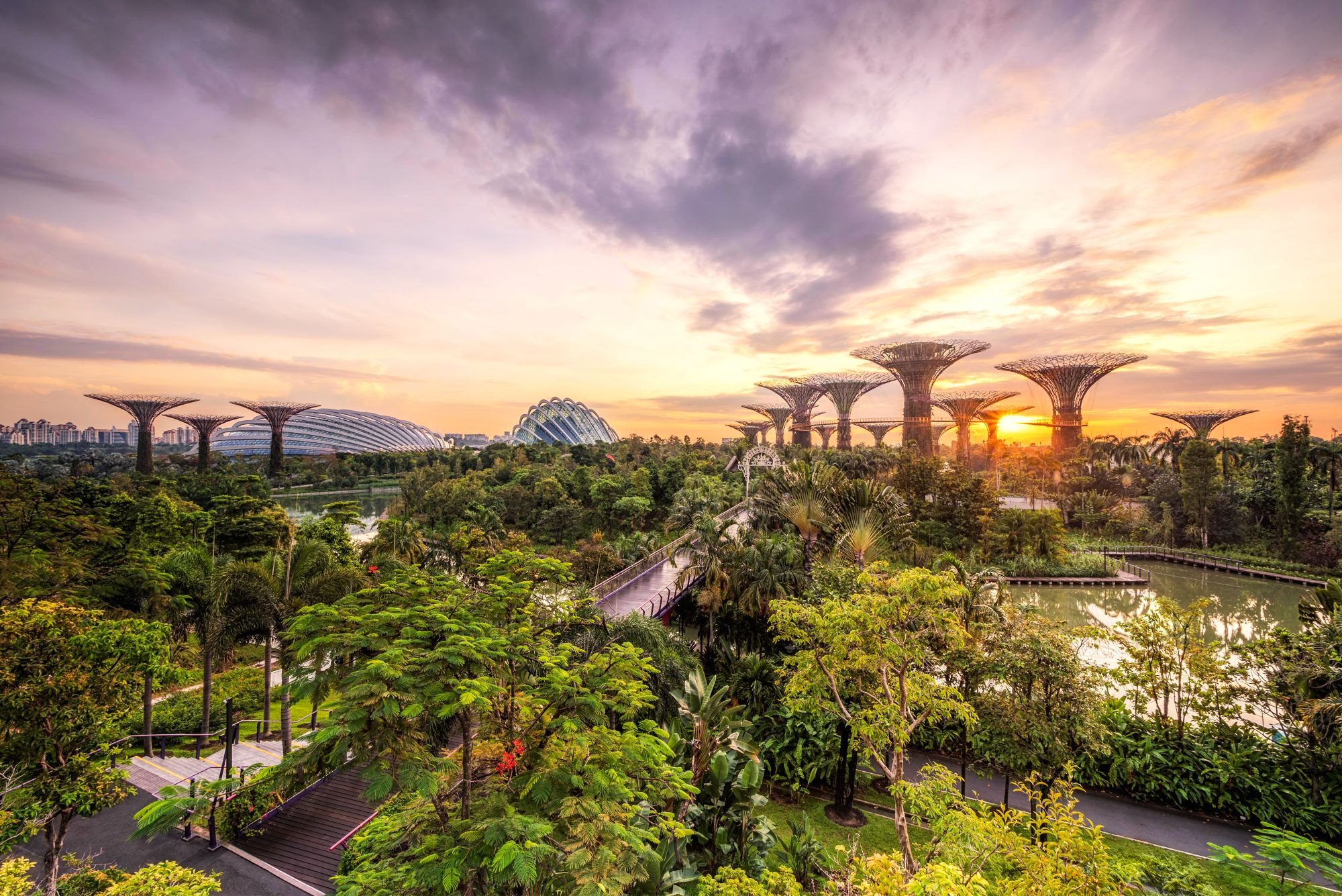Skyline und Gardens by the Bay bei Sonnenaufgang, Singapur