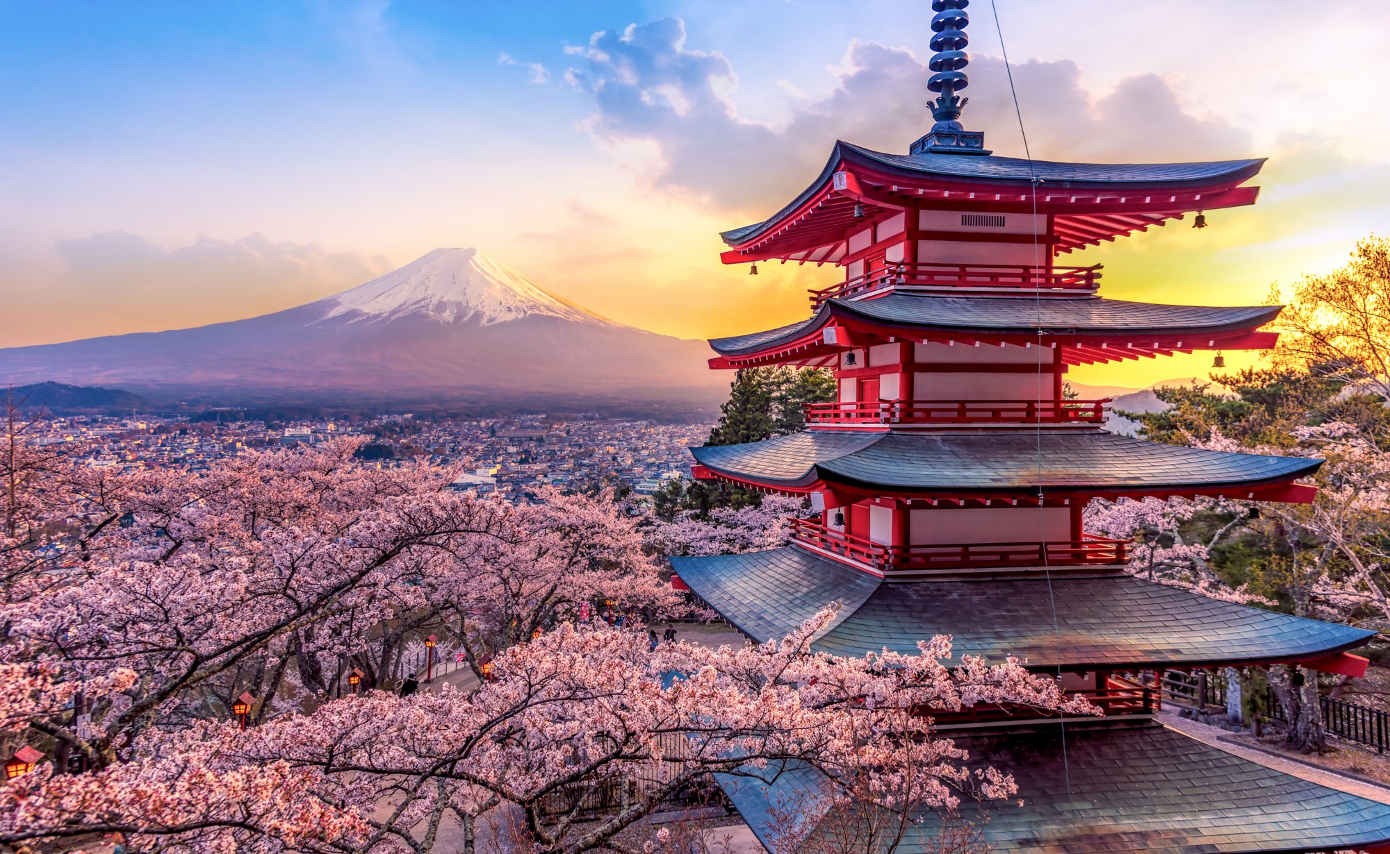 Japan bei Kirschblüte - Kreuzfahrten mit AIDA