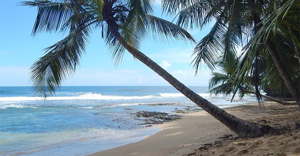 Manzanillo Nationalpark und Puerto Viejo