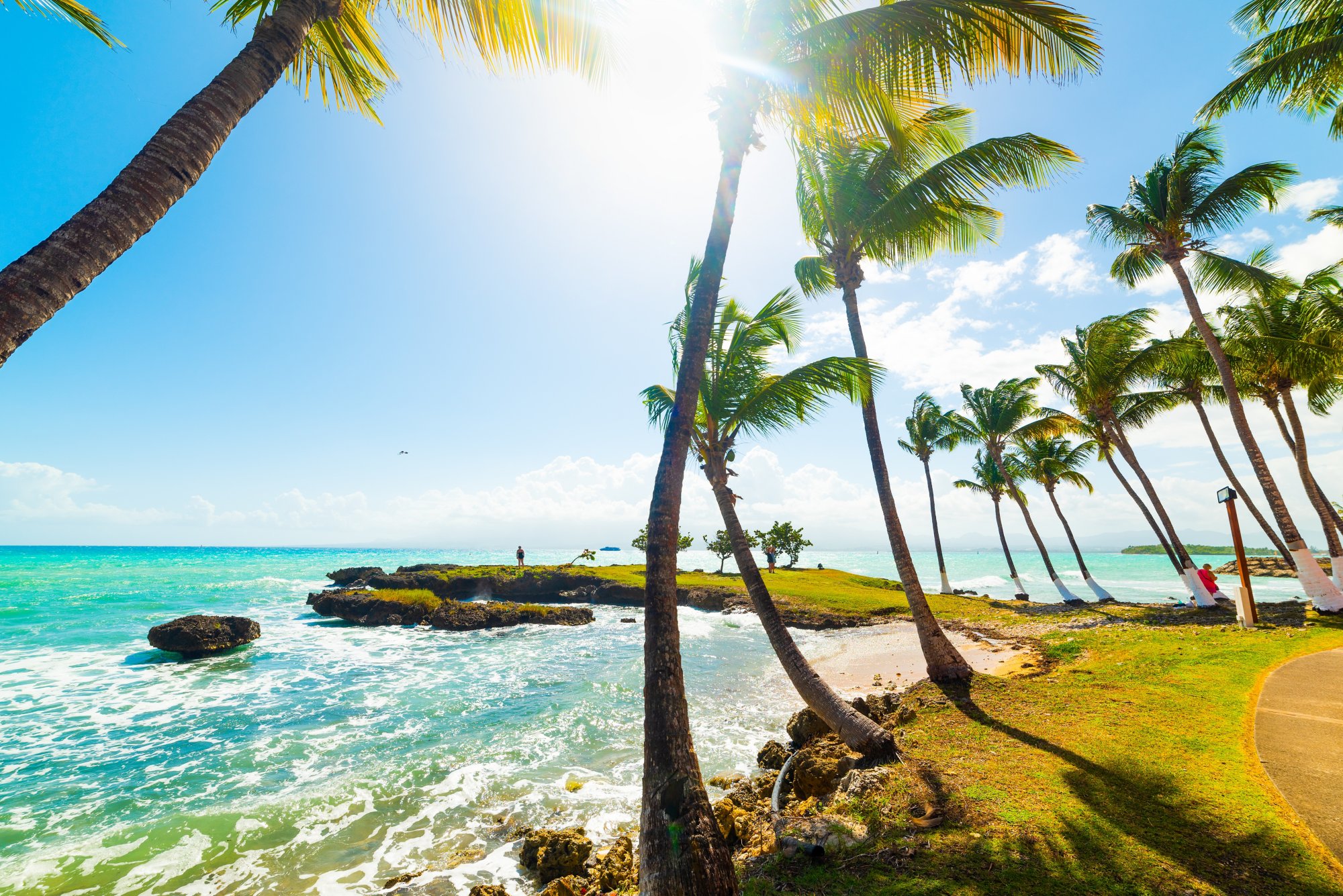 Guadeloupe Strand mit Palmen