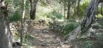 Morgenwanderung durch das Tramuntana Gebirge