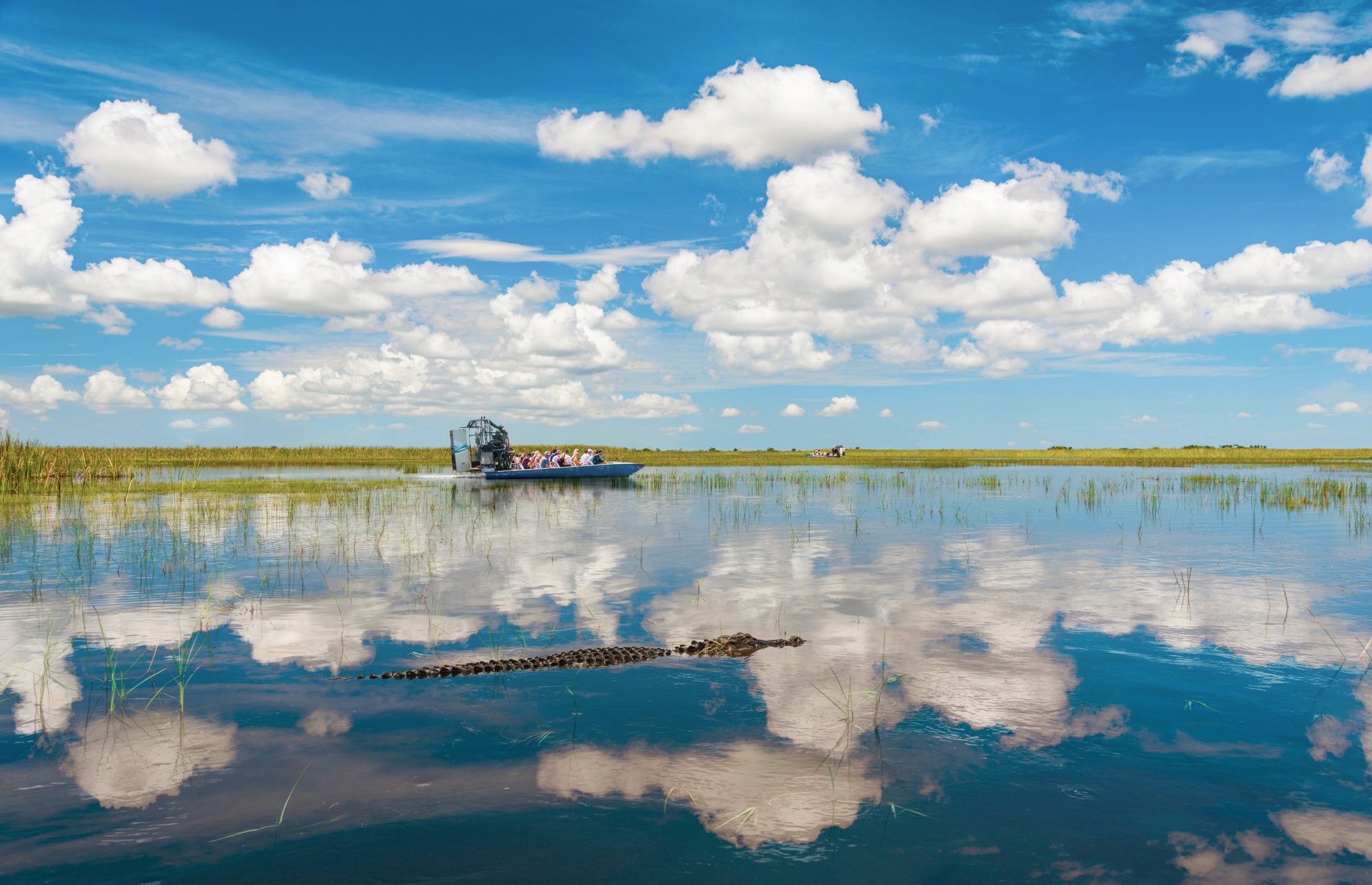 Tierbeobachtungen im unberührten Flussdelta
