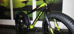 Mit dem Fatbike durch die Natur