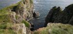 Mousa Broch und Shetlands unberührte Natur