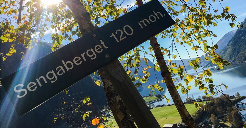 Leichte Wanderung in Skjoldens Natur