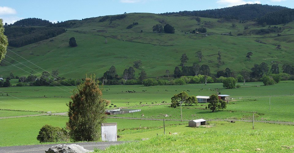 Gunns Plains