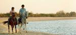 Auf dem Rücken der Pferde Sir Bani Yas Island entdecken