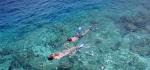 Schnorchelabenteuer durch die exotische Unterwasserwelt Sir Bani Yas