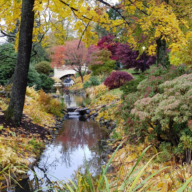 Halifax / Indian Summer
