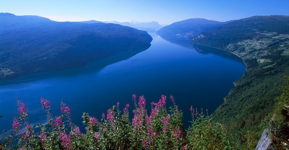 Panoramafahrt rund um Nordfjordeid