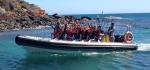 Die maritime Tierwelt hautnah erleben