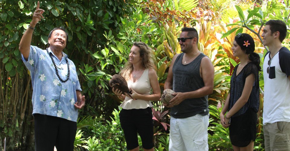 Cook Island und seine Sehenswürdigkeiten