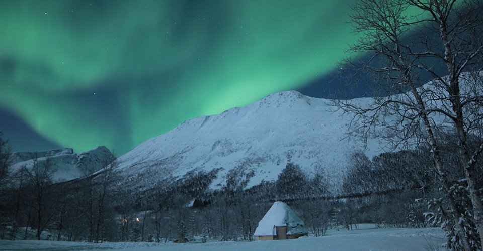 Atemberaubende Nordlichter und Besuch bei den Huskies
