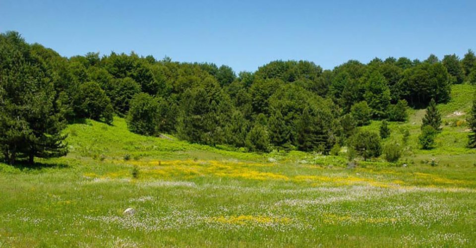 Fotografare la Primavera