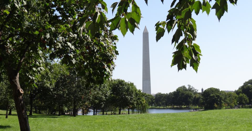 Highlights von Washington mit dem Bike 