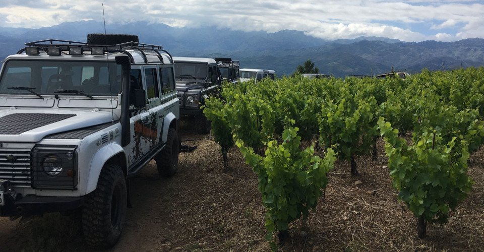 Mit dem Geländewagen in die Weinberge