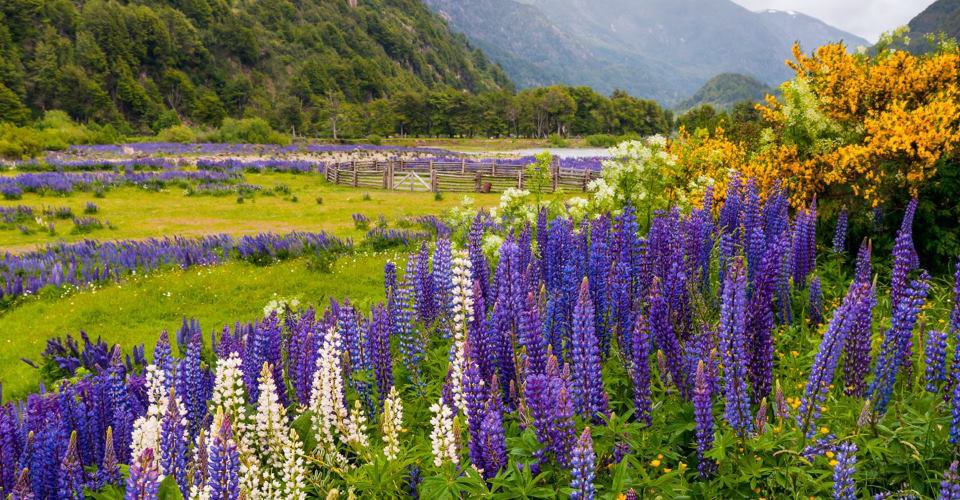Nationalpark Río Simpson und Coyhaique