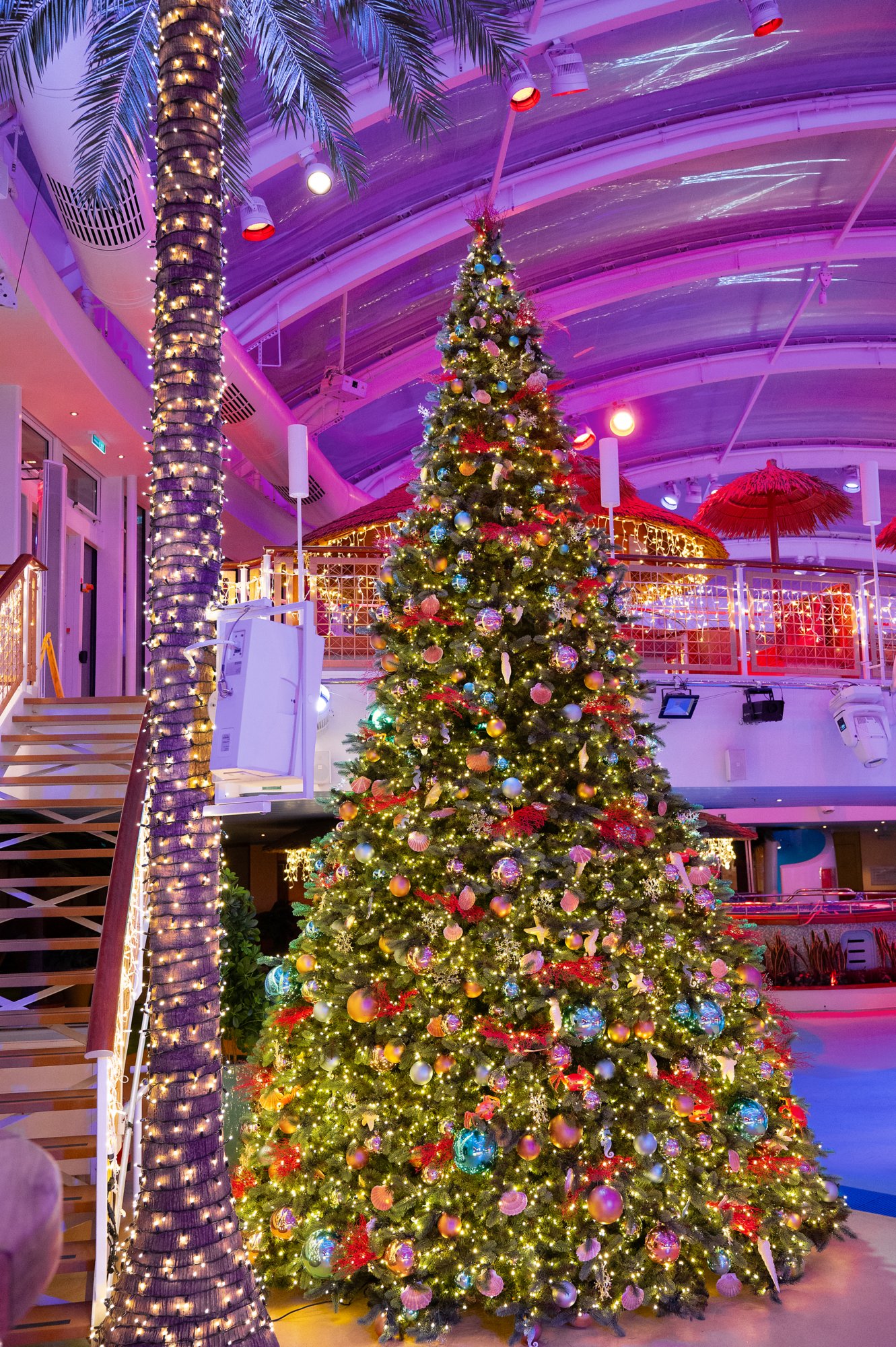 Christbaum auf AIDAnova