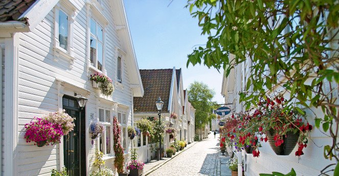 historisch,altstadt,holzhaus,norwegen,stavanger,gammle,fischerhaus,blume,blumen,pflanze,weiss,europid,kaukasisch,europaeisch,blumenschmuck,blumengeschmueckt