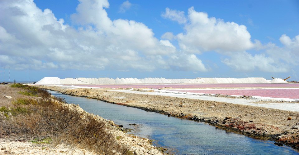 Bonaire auf einen Blick