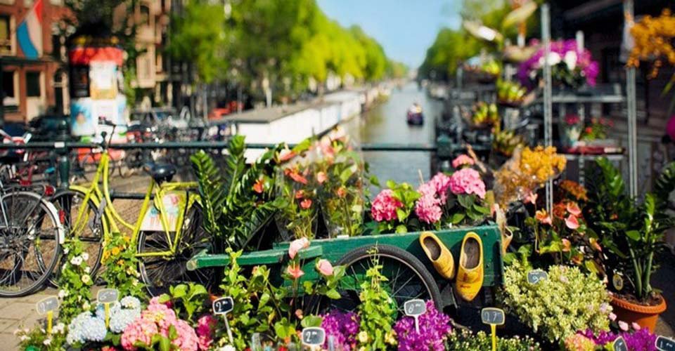 Amsterdam auf eigene Faust
