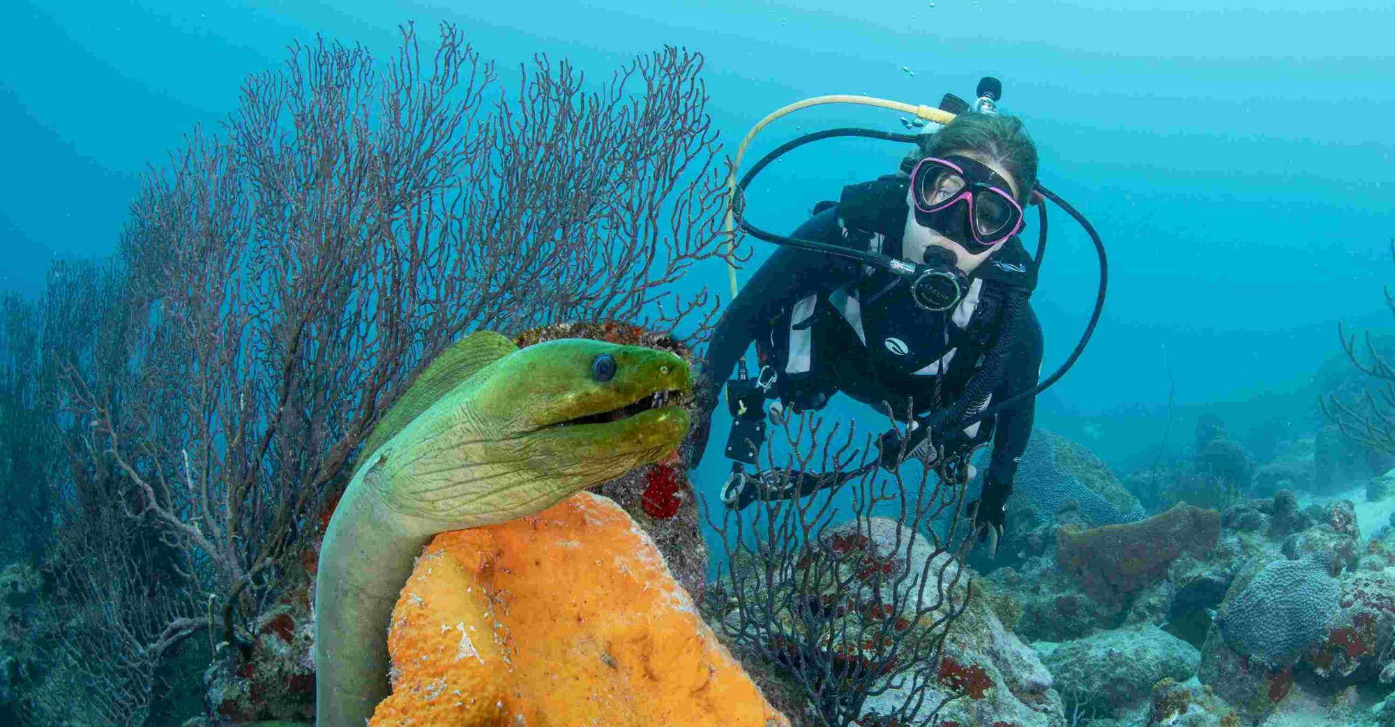 Entdecken Sie die Unterwasserwelt: Schnuppertauchen für Anfänger 