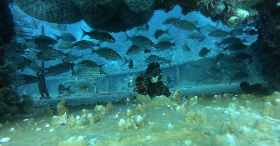 DCIM\100GOPRO\GOPR5403.JPG