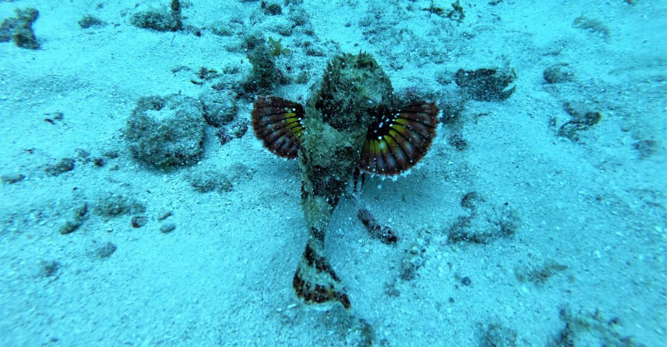 DCIM\100GOPRO\GOPR5314.JPG