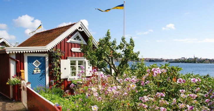 Little paradise in August