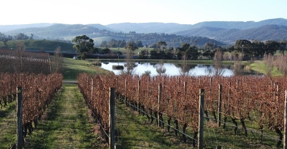 Exklusiv: Kulinarisches Yarra Valley