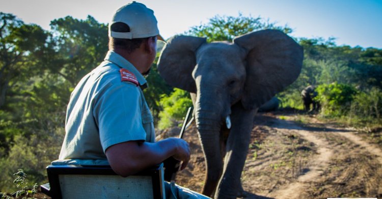Safari durch das Thula Thula Reservat