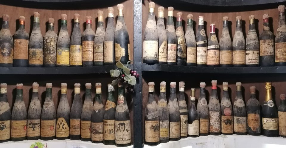 La Laguna und Weinprobe