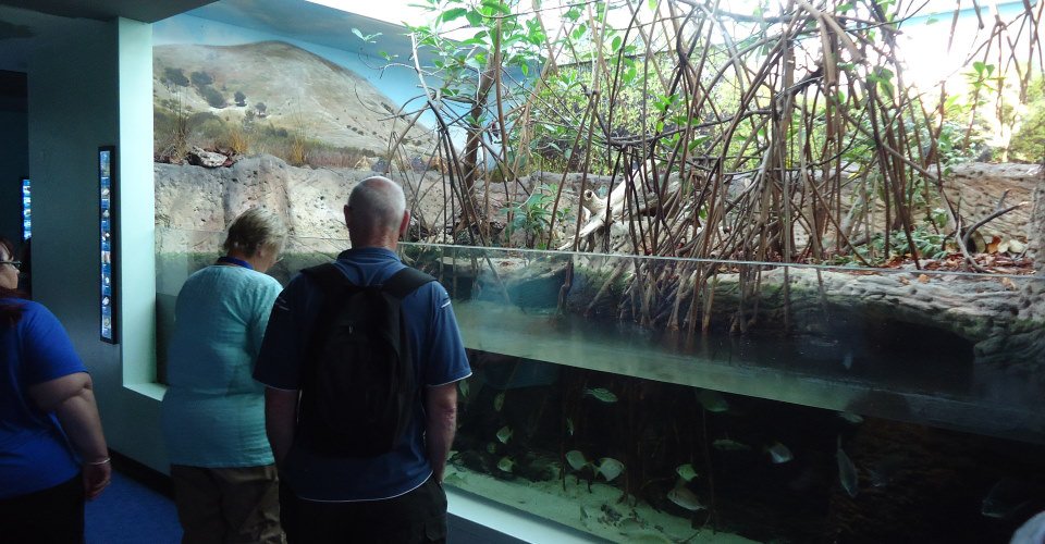 Nouméas Höhepunkte und Aquarium