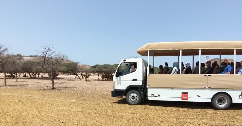 Mit dem Geländebus durch das Naturreservat